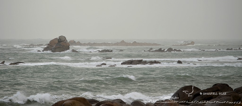 coup de vent sur les côtes du Léon (Bretagne)