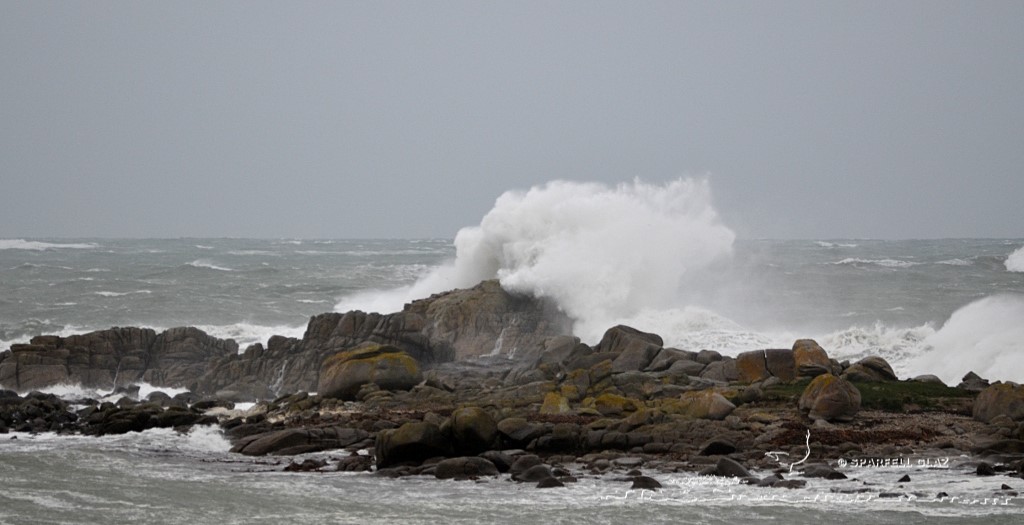 coup de vent sur les côtes du Léon (Bretagne)