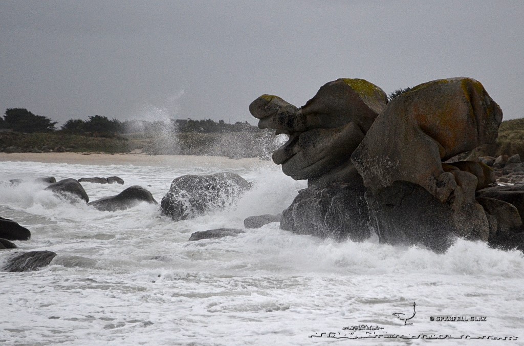 coup de vent sur les côtes du Léon (Bretagne)