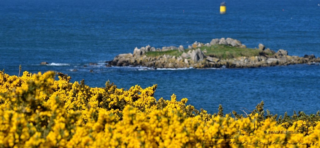 lande en bord de mer
