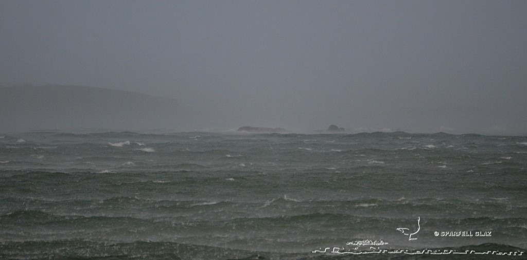 tempête sur les côtes du Léon (Bretagne)