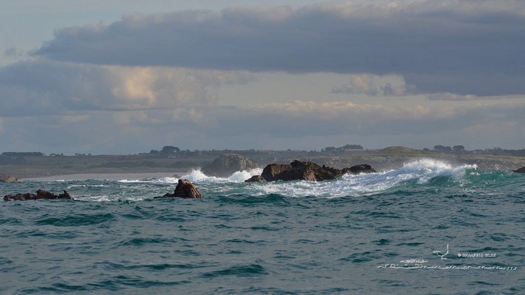 rochers en bord de mer