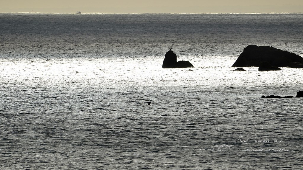 rochers en bord de mer