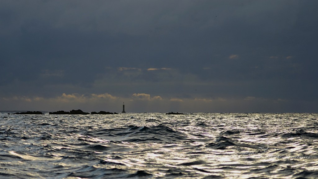 rochers en bord de mer