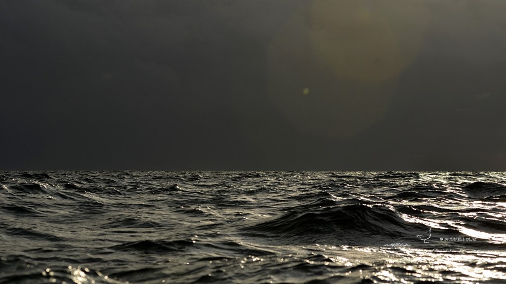 mer