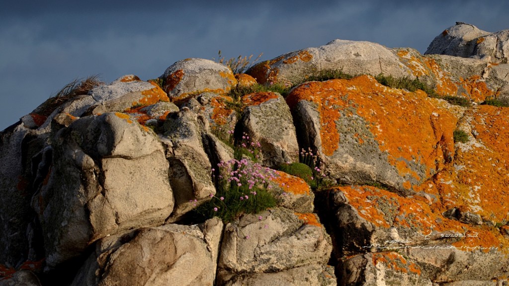 rochers en bord de mer