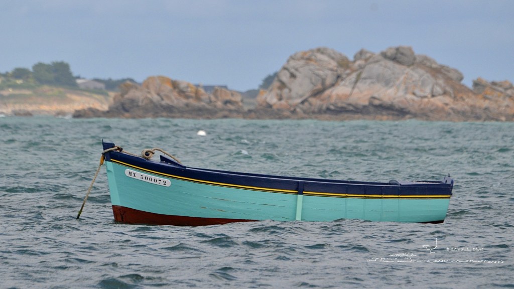 barque au mouillage en bord de mer