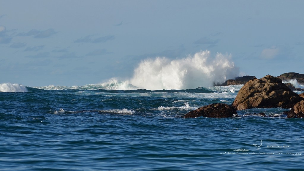 rochers en bord de mer