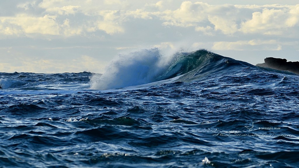 vagues en mer