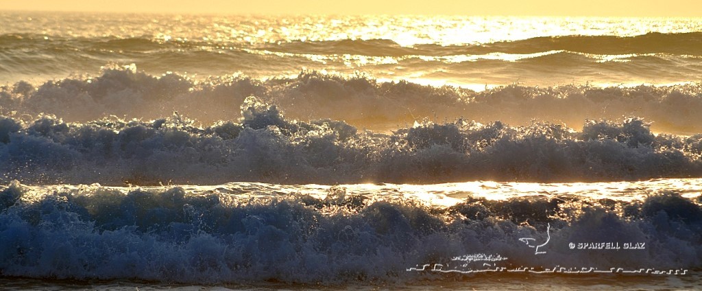vagues au soleil couchant