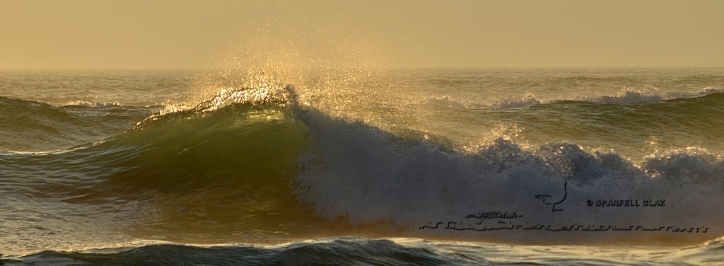 vagues au soleil couchant