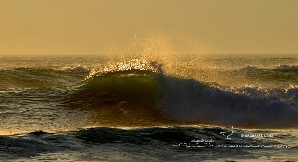 vagues au soleil couchant