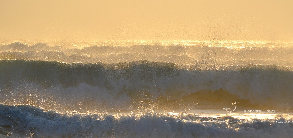 vagues au soleil couchant