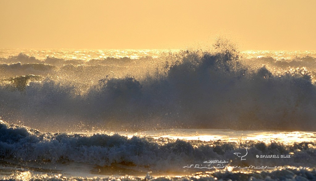 vagues au soleil couchant