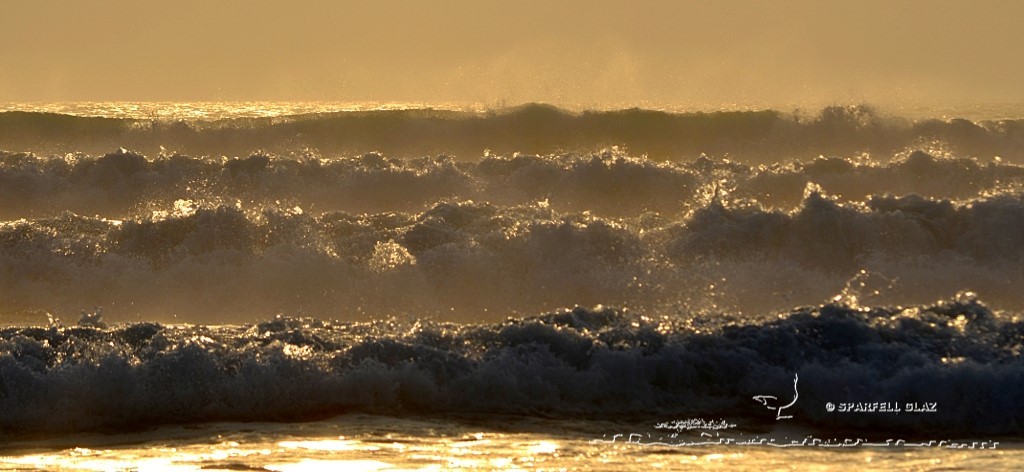 vagues au soleil couchant