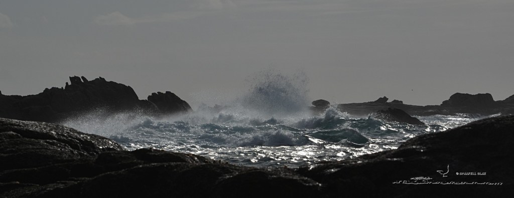 tempête en Pays bigouden