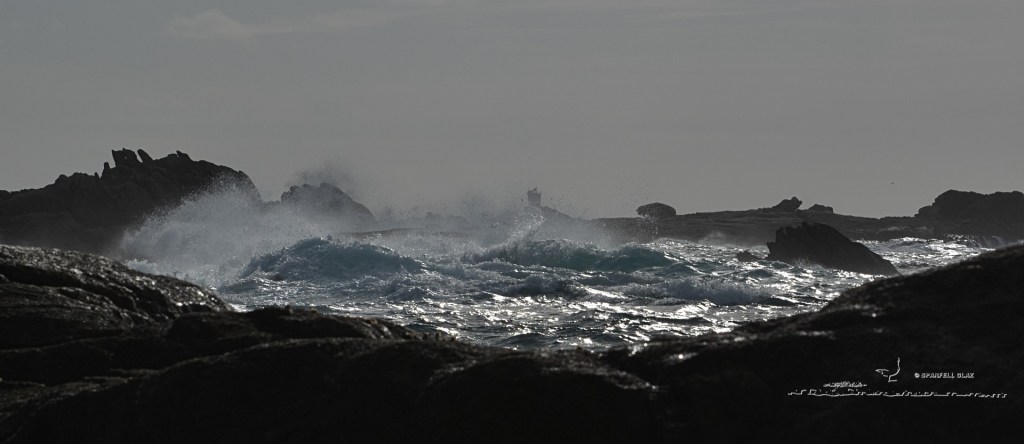 tempête en Pays bigouden