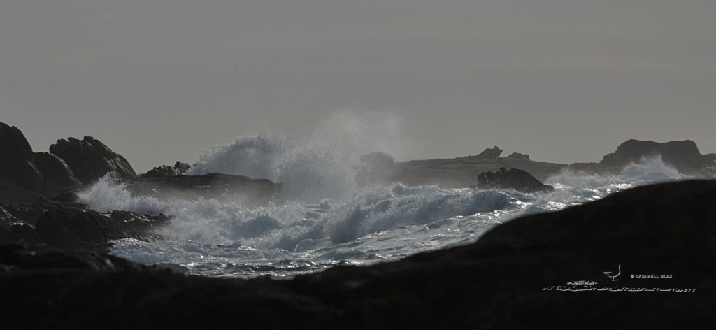 tempête en Pays bigouden