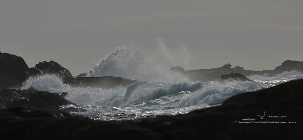 tempête en Pays bigouden