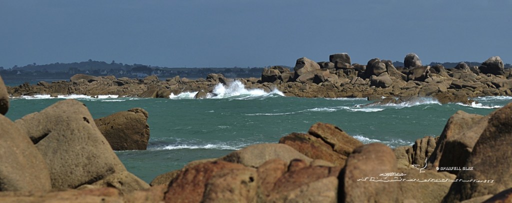 vagues en Léon
