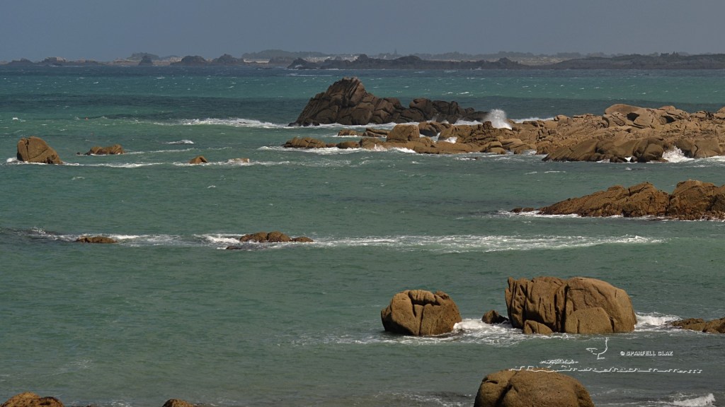 mer Léon