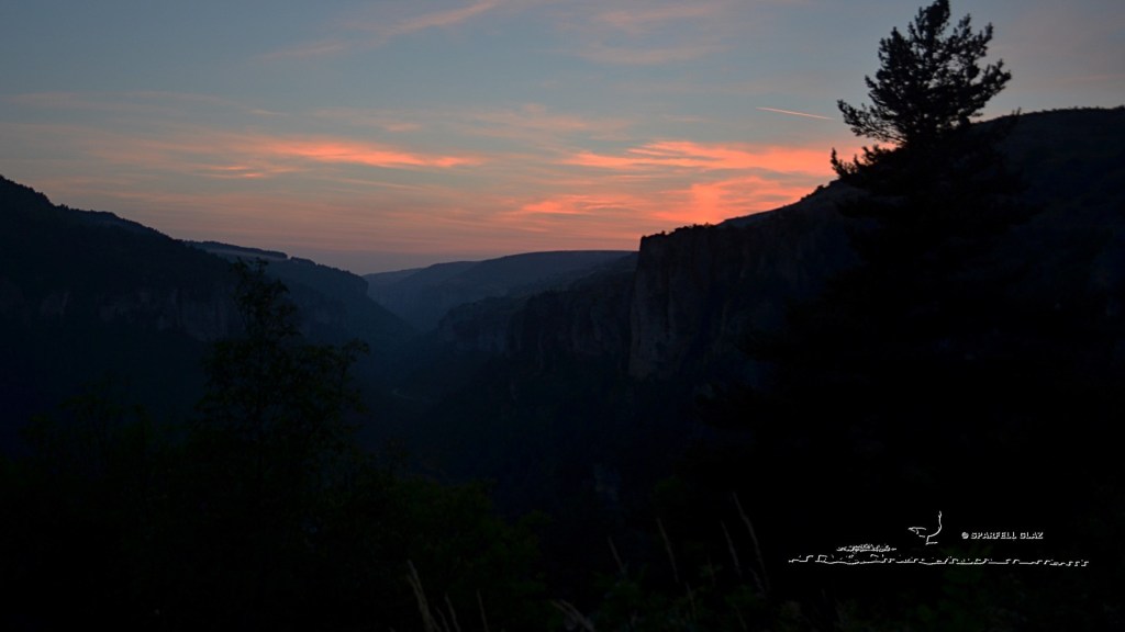 Gorges de la Jonte