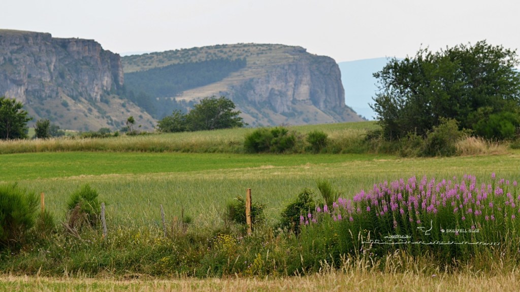 Causse méjean