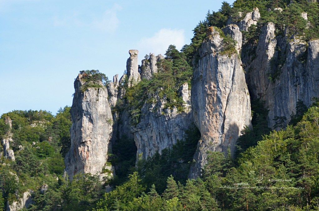 gorges du Tarn