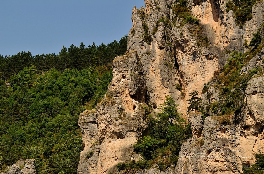 gorges du Tarn