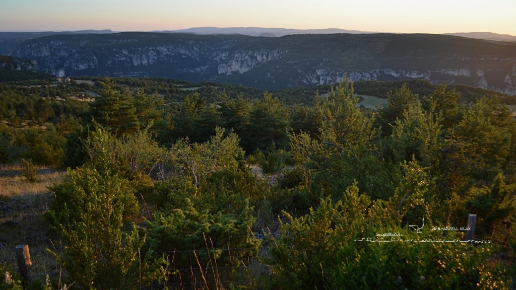 Gorges de la Jonte et Causse noir