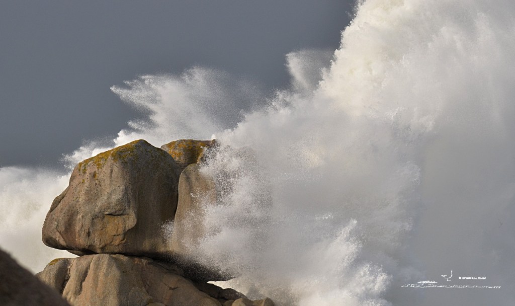 365 - Tempête en Bretagne