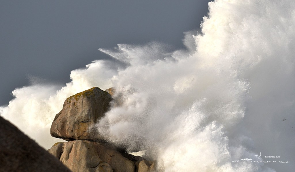 365 - Tempête en Bretagne