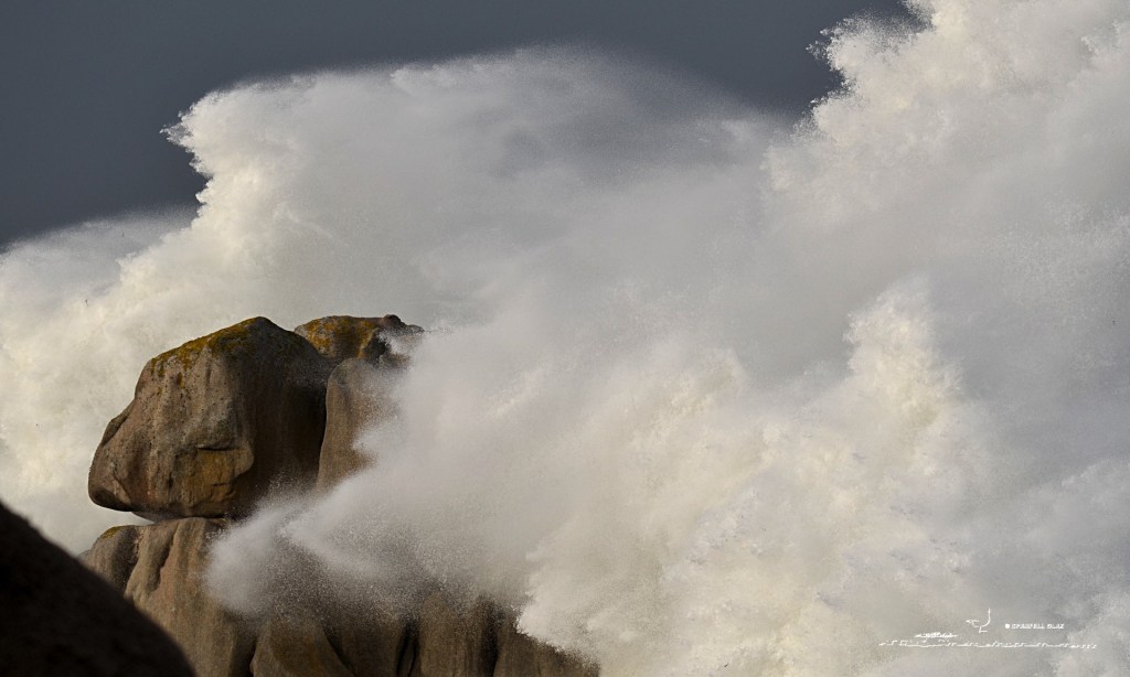 365 - Tempête en Bretagne