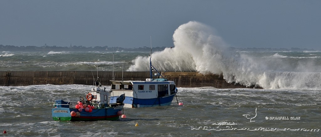 tempête au port de Plouescat (Bretagne)