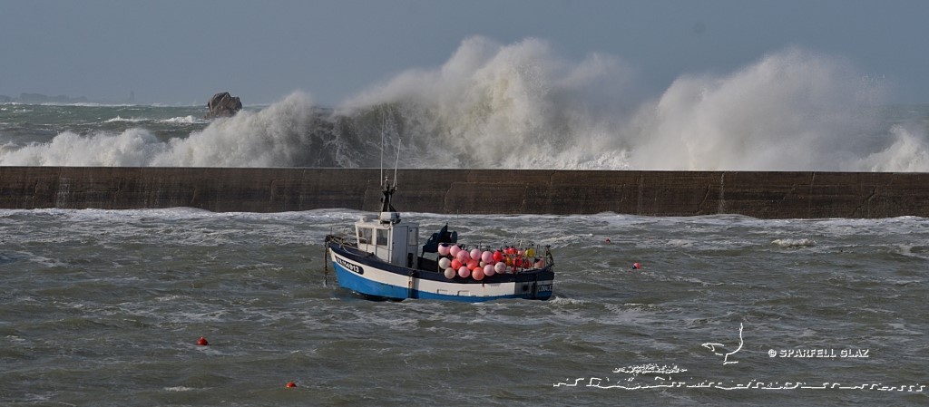 tempête au port de Plouescat (Bretagne)