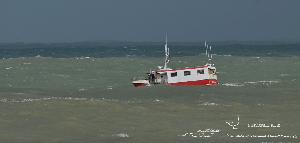 fileyeur en pêche