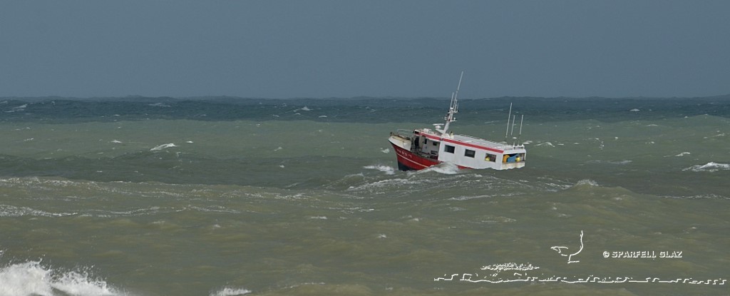 fileyeur en pêche