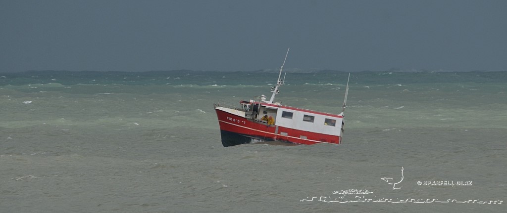 fileyeur en pêche