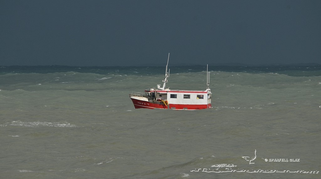 fileyeur en pêche