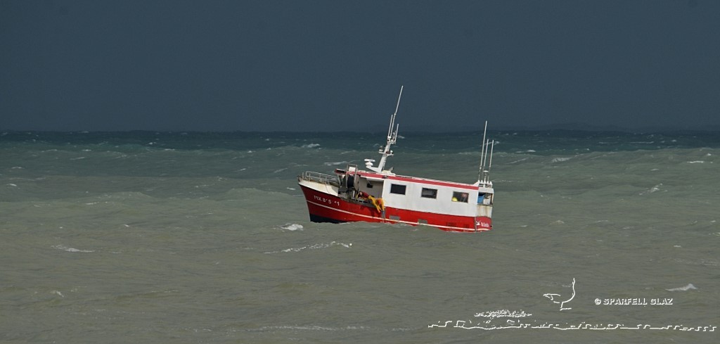 fileyeur en pêche