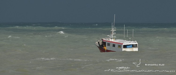 fileyeur en pêche