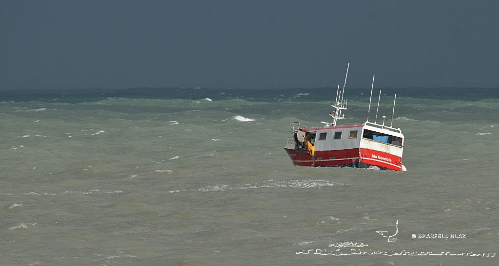 fileyeur en pêche