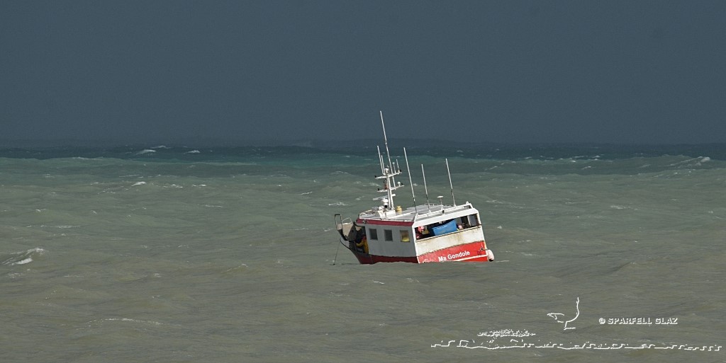 fileyeur en pêche