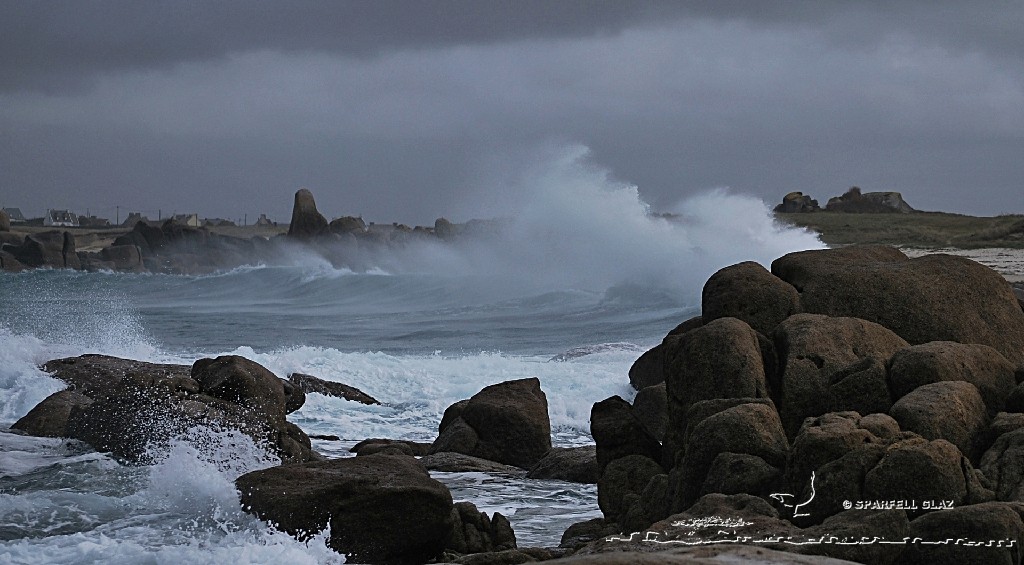 Côte du Léon (Bretagne)