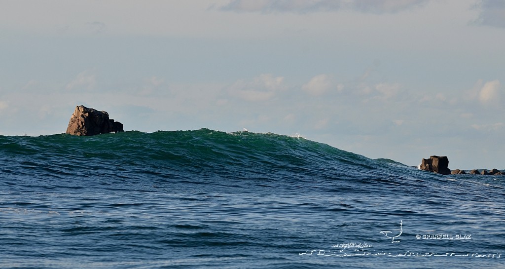 Côte du Léon (Bretagne)