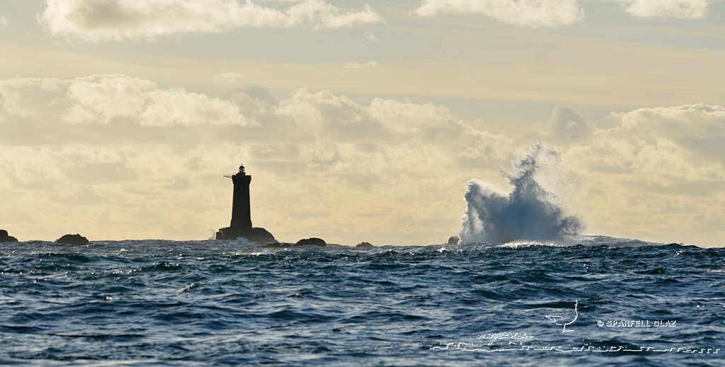 Côte du Léon (Bretagne)