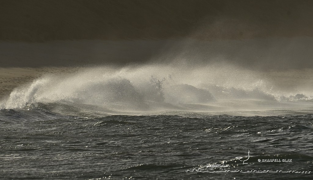 Côte du Léon (Bretagne)